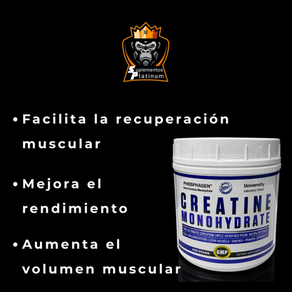 Hi-Tech Creatine Monohydrate – 400 g